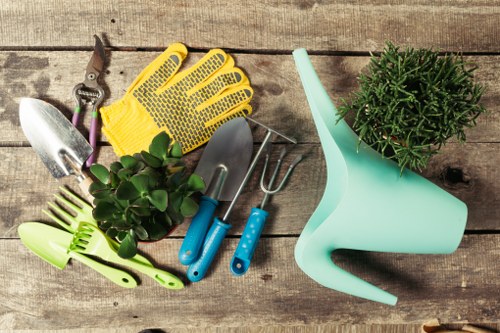 Healthy green lawn care in Muswell Hill garden