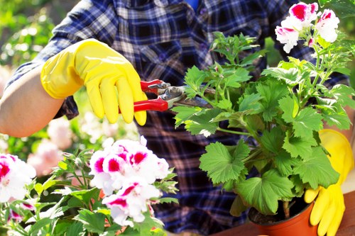 Gardener preparing a transparent quote for a Muswell Hill front garden