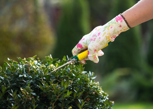 Seasonal garden upkeep with leaf clearing and border care in Muswell Hill