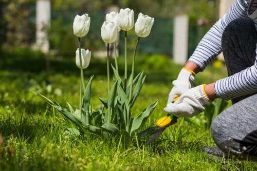 Garden maintenance in Muswell Hill with lush greenery and tidy borders