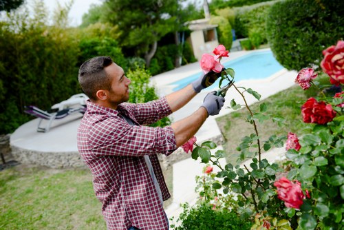 Professional gardening services in a Muswell Hill residential garden