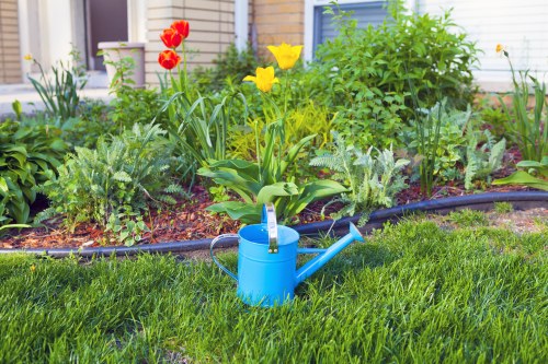 Accessibility statement introduction for Gardeners Muswell Hill