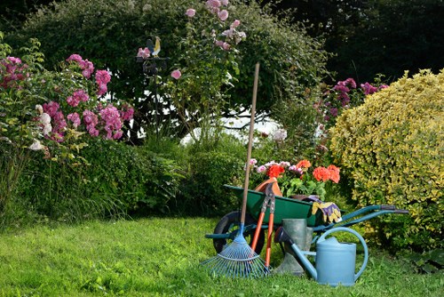 Professional gardeners in Muswell Hill improving a residential garden