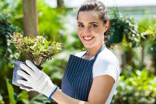 Local lawn maintenance in Muswell Hill with clean, even grass cut