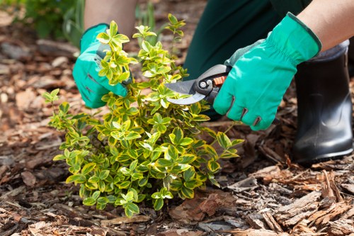 Reused garden materials prepared for recycling and recovery