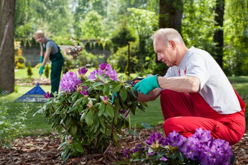 Tidy Muswell Hill garden after waste and debris have been cleared