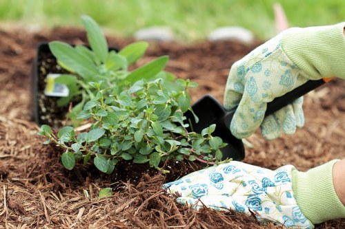Local gardeners in Muswell Hill improving a tidy and attractive garden