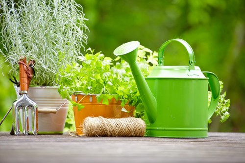 Professional garden clearance work in a Muswell Hill outdoor space
