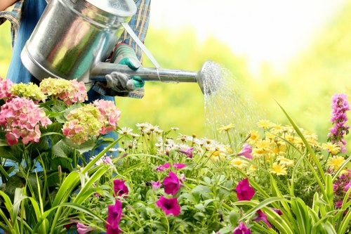 Muswell Hill garden tidy-up with trimmed hedges and healthy lawn