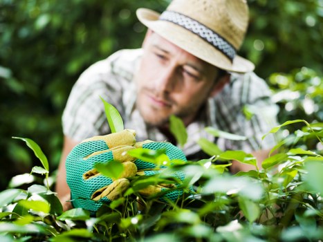 Professional garden upkeep in Muswell Hill with balanced planting and lawns