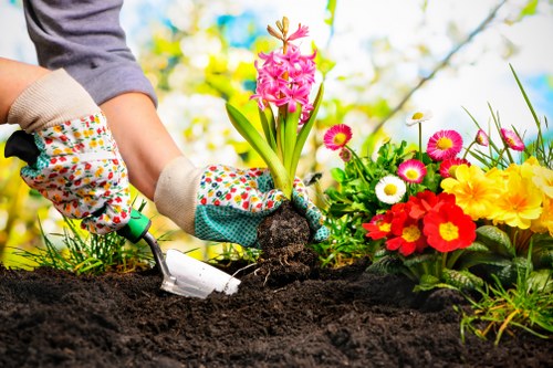 Gardener performing routine garden maintenance in a Muswell Hill property