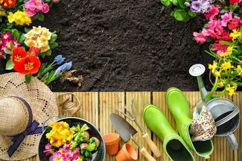 Fertilising and improving grass health in Muswell Hill