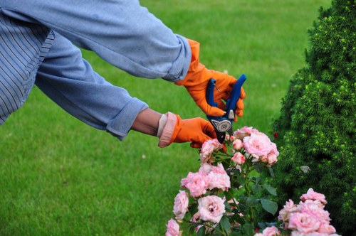 Garden waste collection and responsible disposal