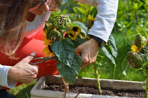 Analytics and performance monitoring concept for a gardening website