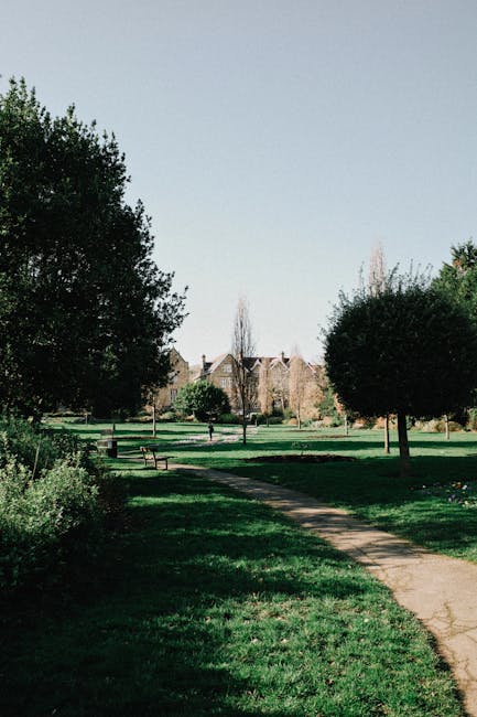 A paved stone pathway runs through a well-maintained grassy garden, flanked by two mature trees with thick trunks and lush green foliage providing partial shade. In the background, neatly trimmed hedg
