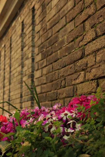 A close-up view of a variety of flowering plants positioned along the base of a brick wall. The flowers include pink petunias and white and pink daisies, with lush green foliage. The brick wall extend