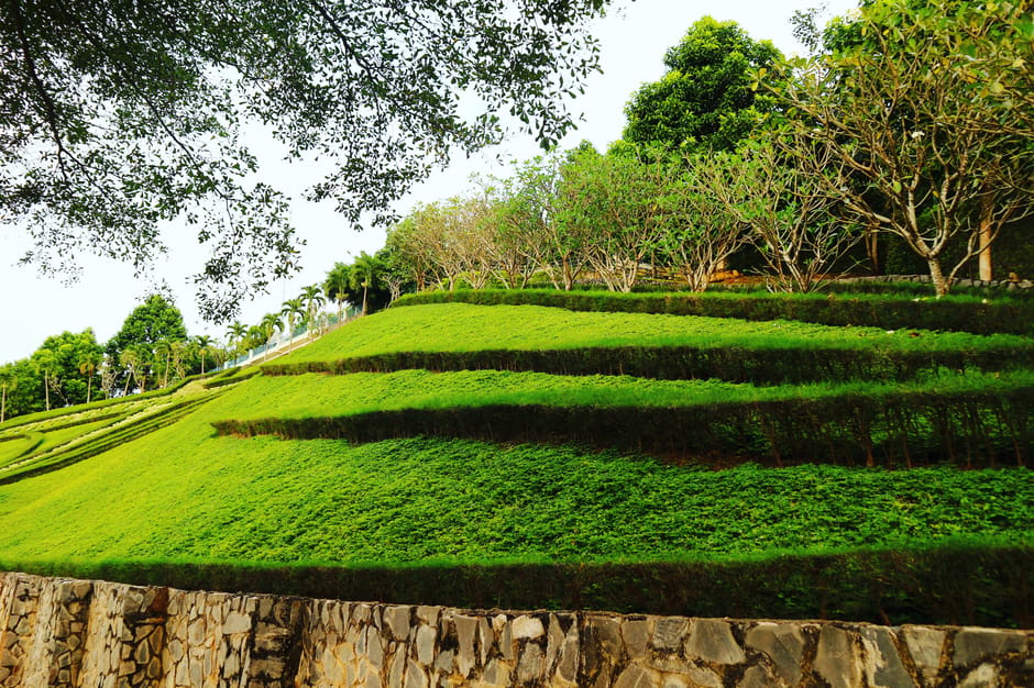 A terraced hillside garden with neatly trimmed grass and low hedges creating horizontal bands across the slope. The garden features multiple levels supported by a stone retaining wall at the bottom, m